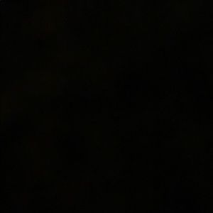 Meet your Posher, Dalton